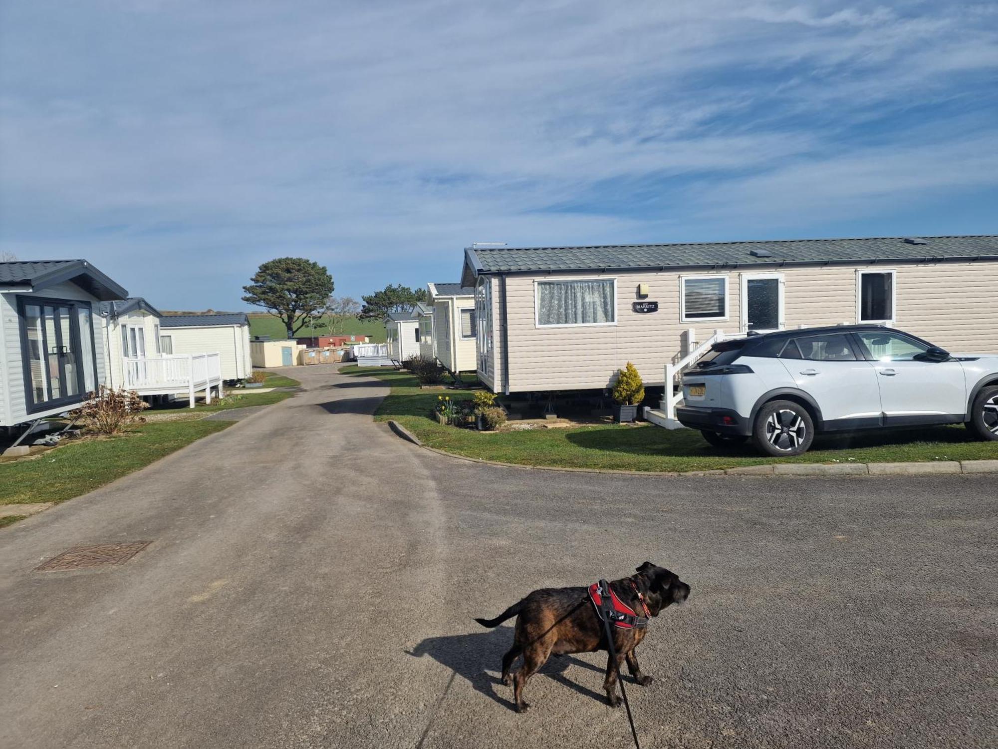 فندق Durdlee Door, D27, Main Rd, West Lulworth, Wareham Bh20 5Pu المظهر الخارجي الصورة