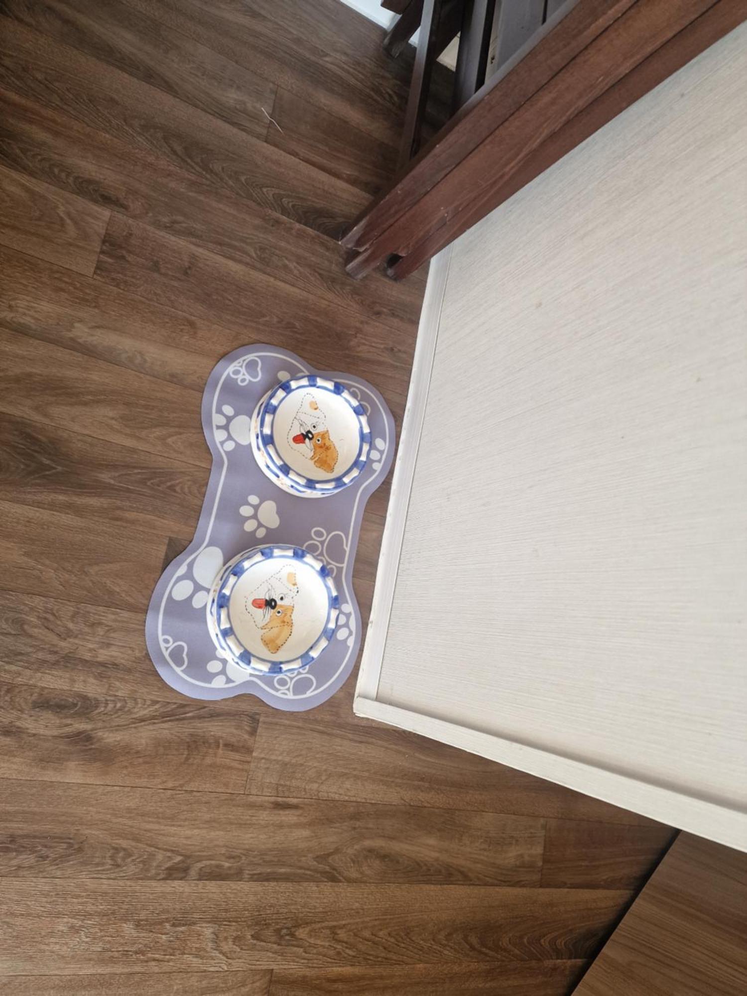 فندق Durdlee Door, D27, Main Rd, West Lulworth, Wareham Bh20 5Pu المظهر الخارجي الصورة